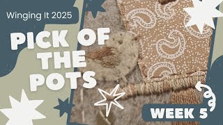 Pick Of The Pots Week 5 | Beige - Pentagon - Satin Stitch
