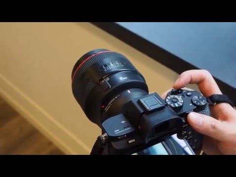 Sigma MC-11 + Canon EF 85mm f/1.2 II USM + Sony A7R II