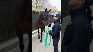 【セカンドキャリウマ】　警視庁騎馬隊編オフショット　～実はキス好き？ナスノセイカン～