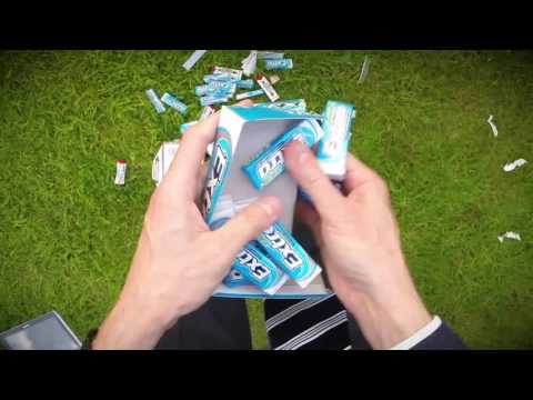 What Wales manager Chris Coleman sees during a match