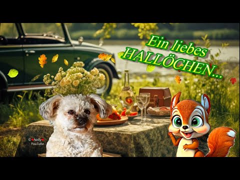 Ein liebes HALLÖCHEN im Herbst 🍂 mit herzlichen Grüßen von mir 🌞