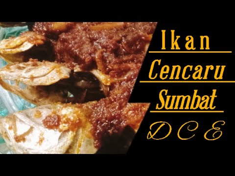 Ikan Cencaru Sumbat DCE