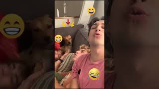 Funny Videos 2021 ● #shorts