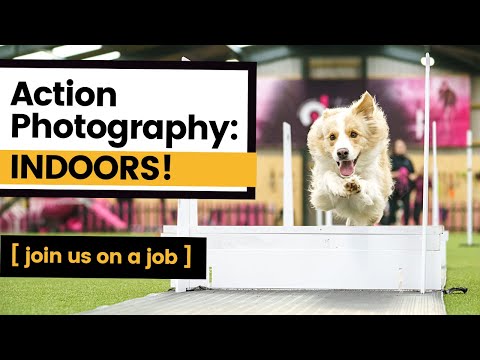How to Photograph Action INDOORS | Join us at the Ogilvie Dogs Training Centre for some BTS Action!