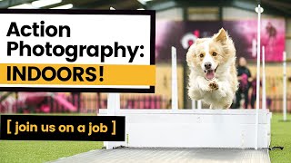 How to Photograph Action INDOORS | Join us at the Ogilvie Dogs Training Centre for some BTS Action!