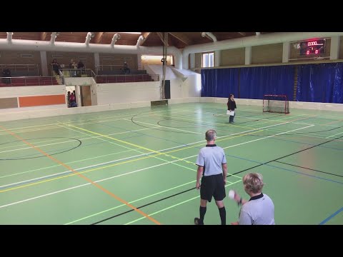 HämeCup TU C-tytöt - Blackbirds