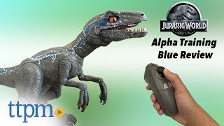Jurassic World Alpha Training Blue from Mattel
