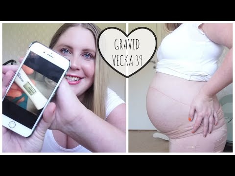 GRAVID VECKA 39 ♥ Sammanfattar graviditeten - från början till slut