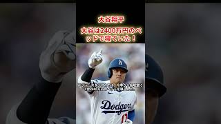 【大谷翔平】大谷は2400万のベッドで寝ていた！