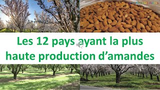 Click here to play the video