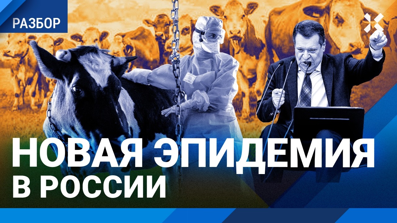 Животных сжигают заживо. Массовый забой скота в Россия. Новая эпидемия — ящу