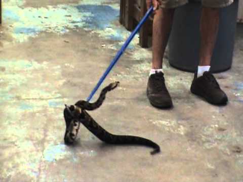 YouTube Video LbvjvMWfoAE