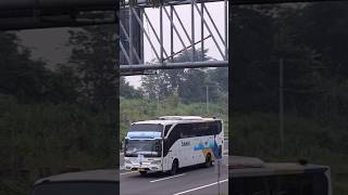 Download lagu bus damri masih gacor #telolet #bus #busmania #basuri mp3