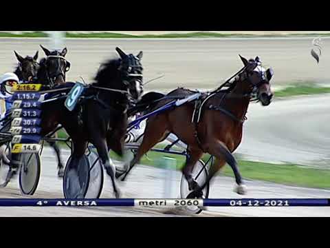 Aversa trotto 4 Dicembre 2021 - 4° Corsa