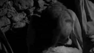 Veles - Winds Of The Vampires | Black Metal