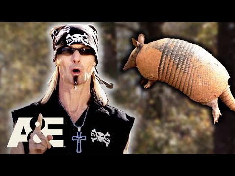 Top 3 Annoying Armadillos | Billy the Exterminator | A&E