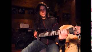 Norther Vain bass cover