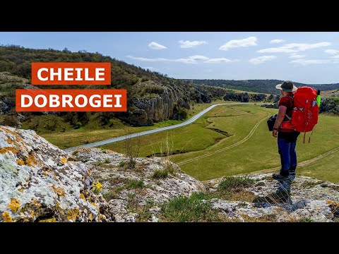 O noapte cu șacalii la cort lângă Cheile Dobrogei (Ep. 52)