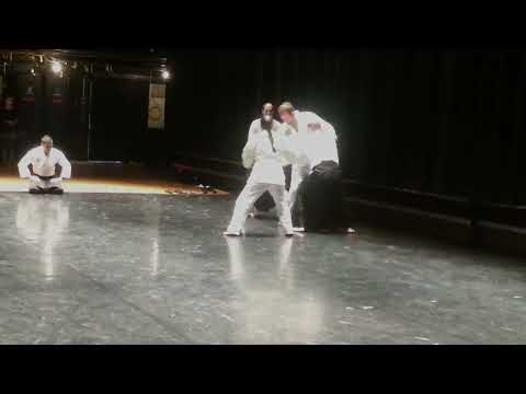 Still Mind Aikido Westchester County Center demonstration