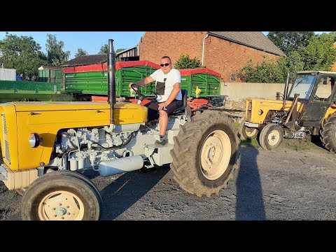 Ujeżdżanie 60-tki... Czyli odwiedziny w JockerFarm na wesoło.