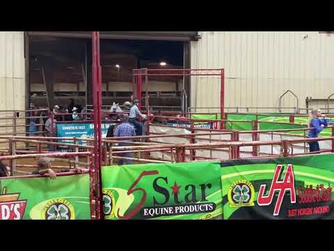 Jr. American Qualifier Paityn Berklund