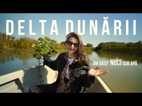 NE-AM PIERDUT prin SALBATICIA din DELTA DUNARII 🇹🇩 Orice roman trebuie sa ajunga aici!