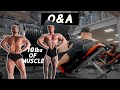 What Does 10lbs Of Muscle Look like? IFBB Pro Q&A