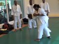 COB Fall 2009 Jujutsu Class