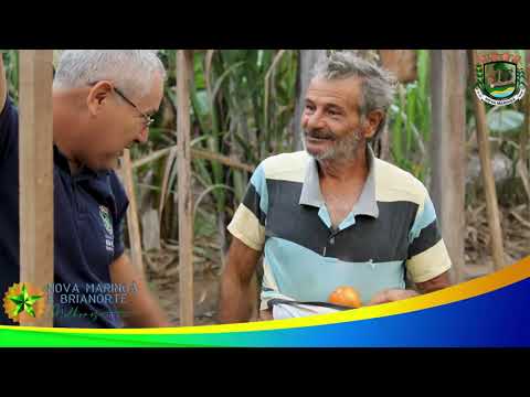 Serviços da Secretaria de Agricultura em parceria com os pequenos Produtores do Município.