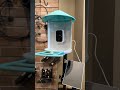 Birdfy Smart Feeder: Fully Setup and Professionally Mounted