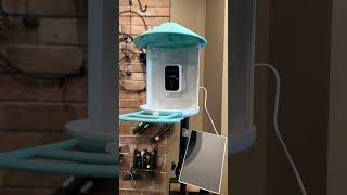 Birdfy Smart Feeder: Fully Setup and Professionally Mounted