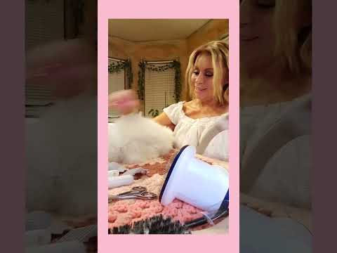 How to Clipper & Groom a Teddywidder or Fuzzy Holland Lop