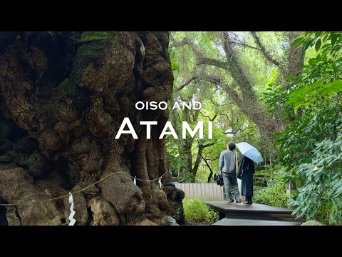 A Quiet Escape Near Tokyo 🌿 2 days in Oiso & Atami | Japan VLOG