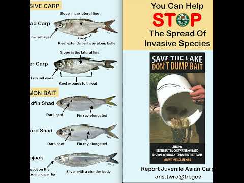 TW 104 - Don’t Dump Your Bait!