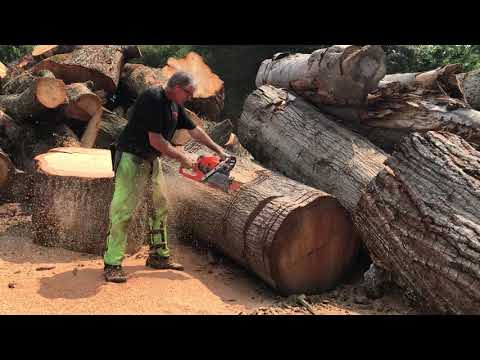 Husqvarna 592xp First Test Run with 44" bar