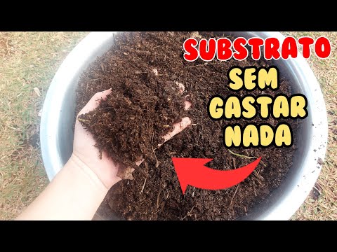 COMO FAZER SUBSTRATO USANDO FOLHAS SECAS ? SEM GASTAR NADA