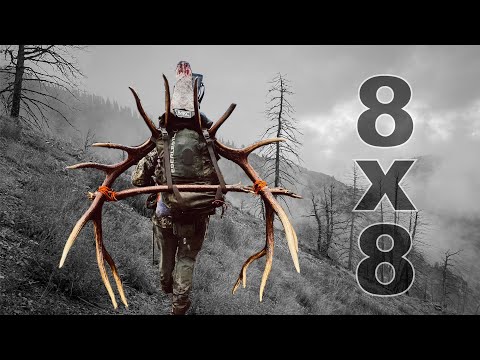 8X8 BULL ELK DOWN!!! | BACKCOUNTRY FLOAT HUNT FOR ELK & MULE DEER | S8E5 | Limitless Outdoors