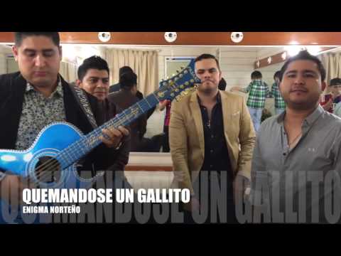 ENIGMA NORTEÑO / QUEMANDOSE UN GALLITO (El Rambo)