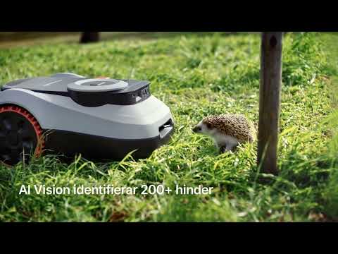 Miniatura Video