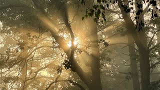 Activating the Atlantean Goldprint – Navel Chakra Meditation