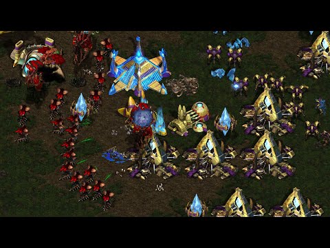 MINI vs EFFORT Ladder Battle  - Starcraft Broodwar