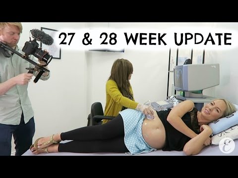 27 & 28 WEEK UPDATE AND ULTRASOUND #CMSCAN