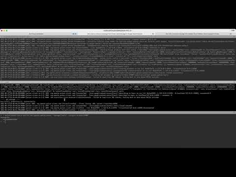 [Demo] Google Cloud Pub/Sub Connector for Apache Pulsar