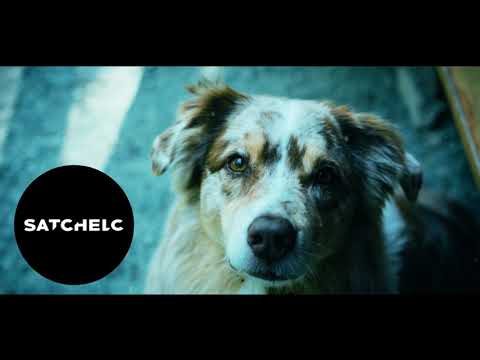 Satchel C - We Aren't Alright (Wanna Go Home) (VIP)