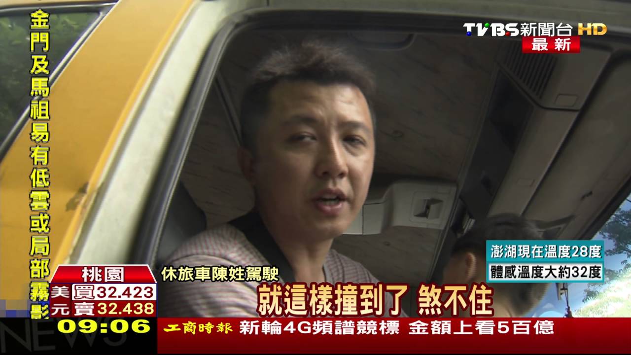 梅花鹿闖國道!休旅車閃不過 車凹鹿死