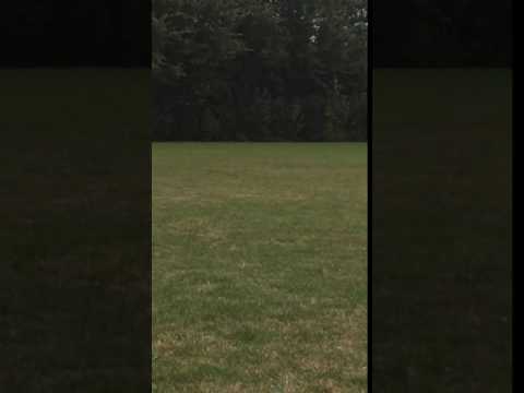 PVCV JO8-6 - Vianen JO8-1 (17-09-2016)