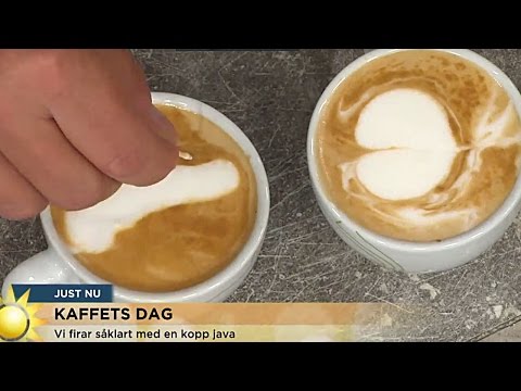 Jenny och Steffo bryter ihop över ekivokt kaffe - Nyhetsmorgon (TV4)