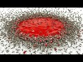 1,000 Mosquitoes vs. Blood DEFAULT Thumbnail
