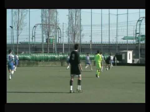 VOLTRI 87 IL LIBRACCIO