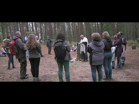 Kamienne kręgi Węsiory